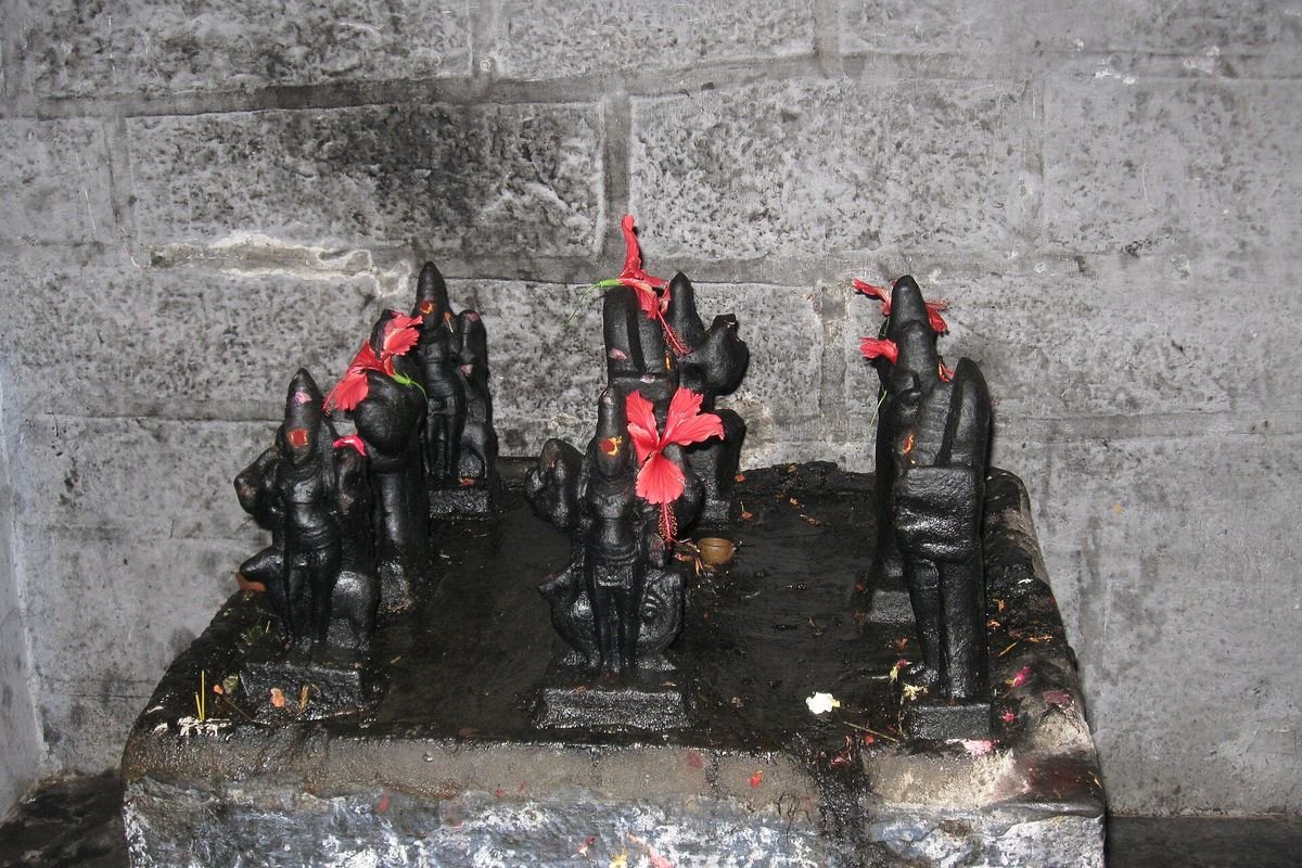 Navagraha Shanti Puja
